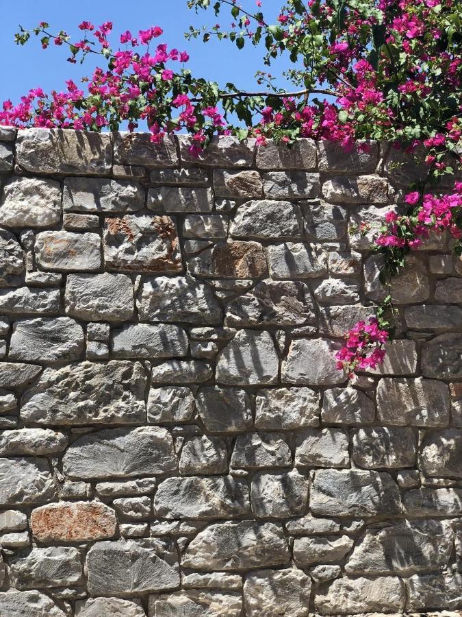 Gaia Guest House Kalamata Exterior foto